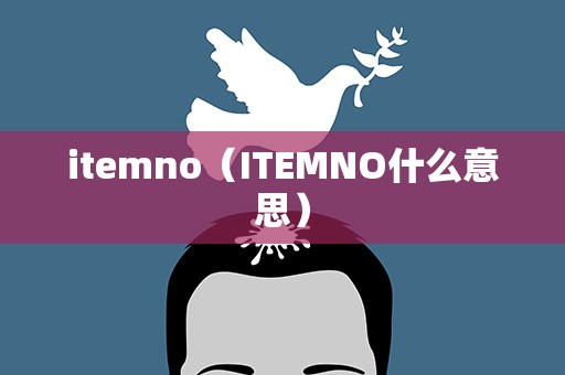itemno（ITEMNO什么意思）