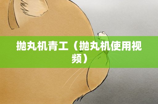 抛丸机青工（抛丸机使用视频）