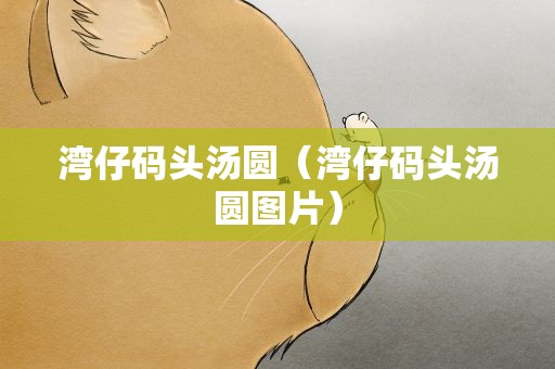 湾仔码头汤圆（湾仔码头汤圆图片）