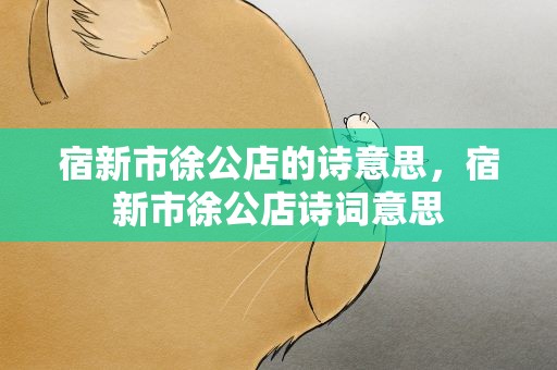 宿新市徐公店的诗意思，宿新市徐公店诗词意思