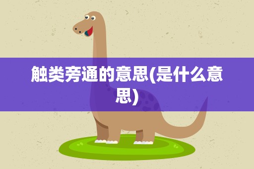 触类旁通的意思(是什么意思)