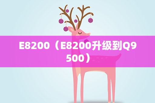E8200（E8200升级到Q9500）
