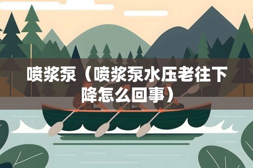 喷浆泵（喷浆泵水压老往下降怎么回事）