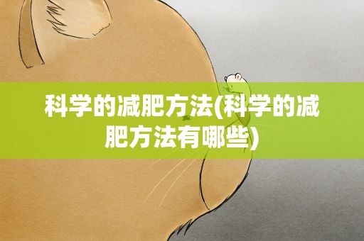 科学的减肥方法(科学的减肥方法有哪些)