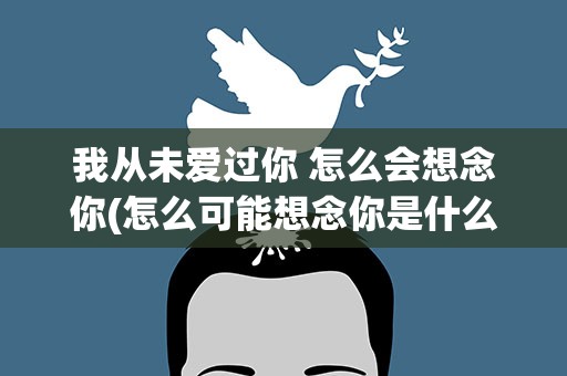 我从未爱过你 怎么会想念你(怎么可能想念你是什么歌)
