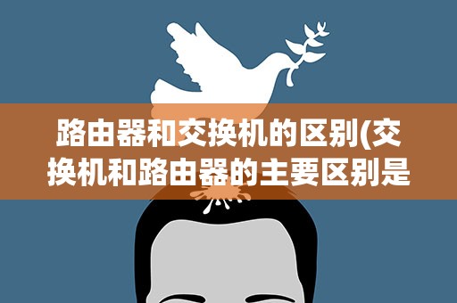 路由器和交换机的区别(交换机和路由器的主要区别是什么)