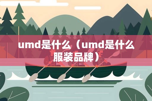 umd是什么（umd是什么服装品牌）