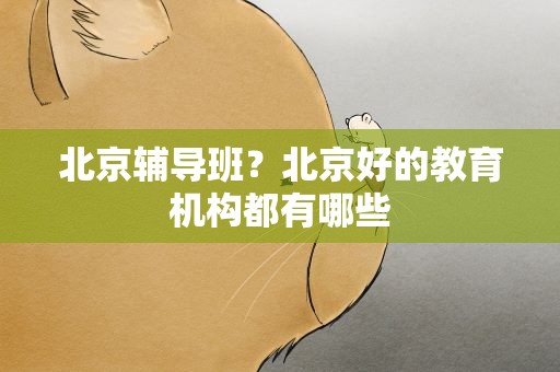 北京辅导班？北京好的教育机构都有哪些