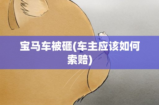 宝马车被砸(车主应该如何索赔)