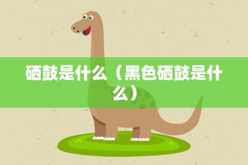 硒鼓是什么（黑色硒鼓是什么）
