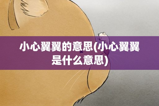 小心翼翼的意思(小心翼翼是什么意思)