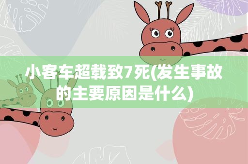 小客车超载致7死(发生事故的主要原因是什么)