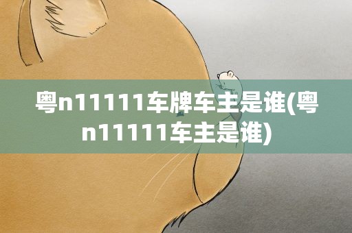 粤n11111车牌车主是谁(粤n11111车主是谁)