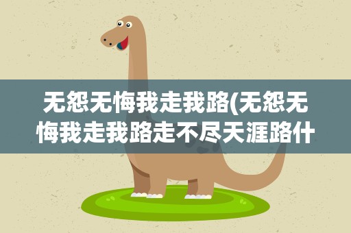 无怨无悔我走我路(无怨无悔我走我路走不尽天涯路什么歌)