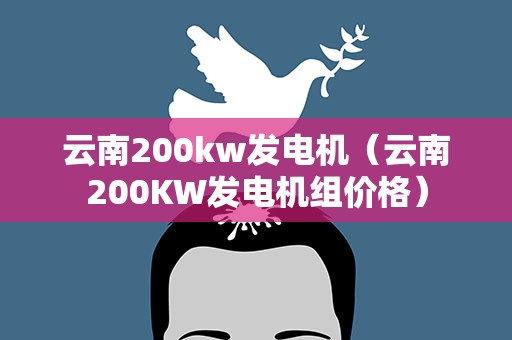 云南200kw发电机（云南200KW发电机组价格）