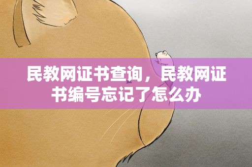 民教网证书查询，民教网证书编号忘记了怎么办