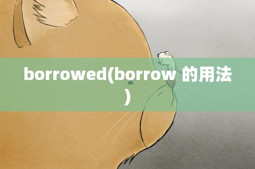 borrowed(borrow 的用法)