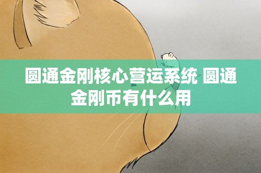 圆通金刚核心营运系统 圆通金刚币有什么用