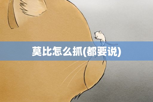 莫比怎么抓(都要说)