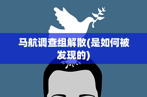 马航调查组解散(是如何被发现的)