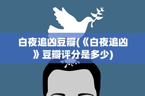 白夜追凶豆瓣(《白夜追凶》豆瓣评分是多少)