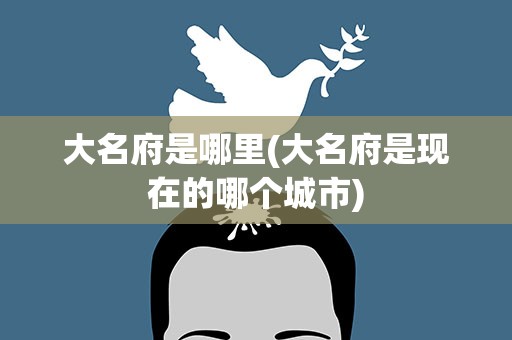 大名府是哪里(大名府是现在的哪个城市)