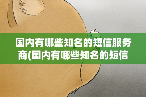 国内有哪些知名的短信服务商(国内有哪些知名的短信服务商品)
