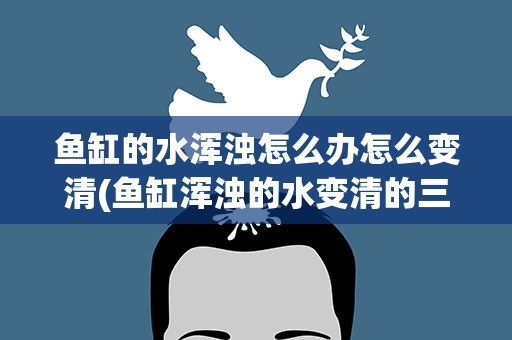 鱼缸的水浑浊怎么办怎么变清(鱼缸浑浊的水变清的三种方法)