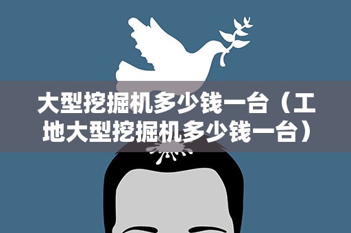大型挖掘机多少钱一台（工地大型挖掘机多少钱一台）
