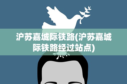 沪苏嘉城际铁路(沪苏嘉城际铁路经过站点)