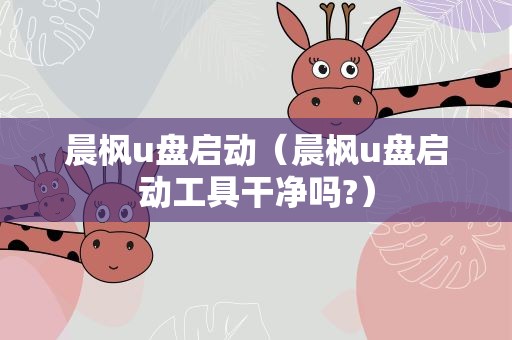 晨枫u盘启动（晨枫u盘启动工具干净吗?）