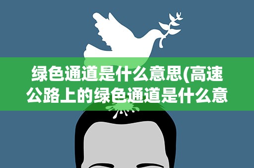 绿色通道是什么意思(高速公路上的绿色通道是什么意思您好,)