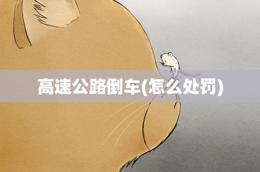 高速公路倒车(怎么处罚)