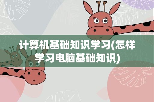 计算机基础知识学习(怎样学习电脑基础知识)