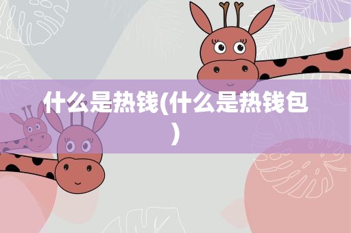 什么是热钱(什么是热钱包)