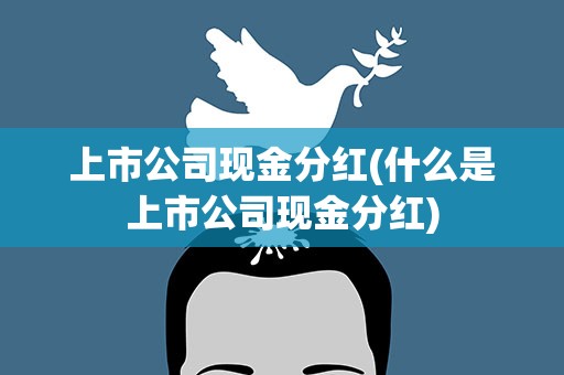 上市公司现金分红(什么是上市公司现金分红)