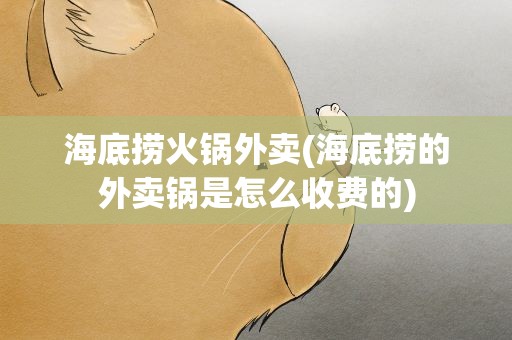 海底捞火锅外卖(海底捞的外卖锅是怎么收费的)