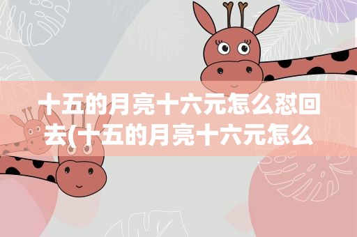 十五的月亮十六元怎么怼回去(十五的月亮十六元怎么回复)