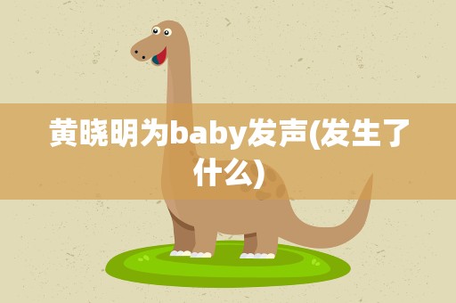 黄晓明为baby发声(发生了什么)