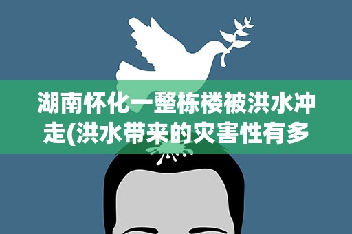 湖南怀化一整栋楼被洪水冲走(洪水带来的灾害性有多强)