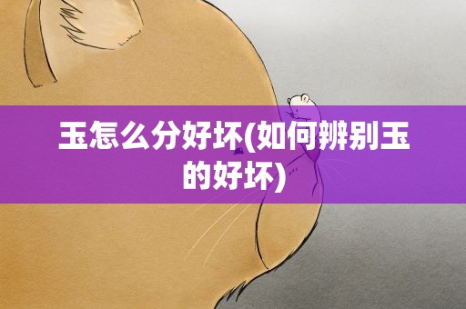 玉怎么分好坏(如何辨别玉的好坏)