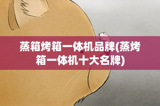 蒸箱烤箱一体机品牌(蒸烤箱一体机十大名牌)