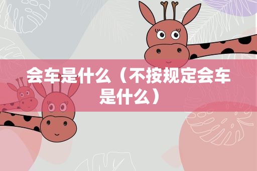 会车是什么（不按规定会车是什么）