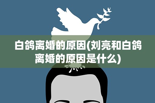 白鸽离婚的原因(刘亮和白鸽离婚的原因是什么)