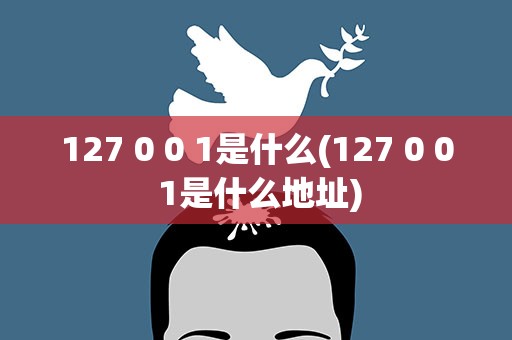 127 0 0 1是什么(127 0 0 1是什么地址)