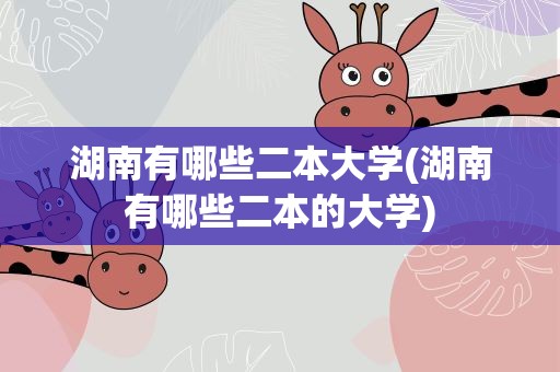 湖南有哪些二本大学(湖南有哪些二本的大学)