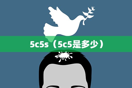 5c5s（5c5是多少）