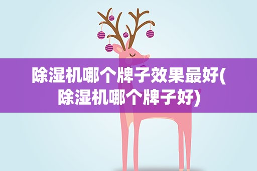 除湿机哪个牌子效果最好(除湿机哪个牌子好)