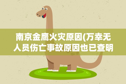 南京金鹰火灾原因(万幸无人员伤亡事故原因也已查明)