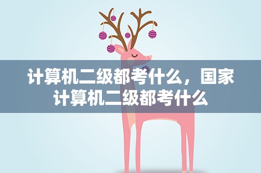 计算机二级都考什么，国家计算机二级都考什么